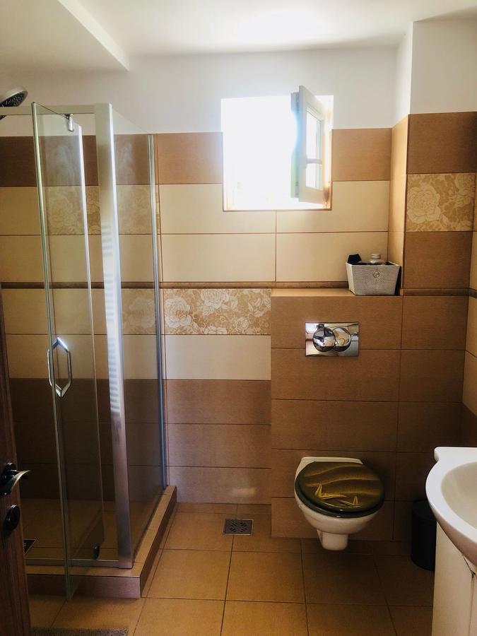 Bogdan'S Apartment シビウ エクステリア 写真